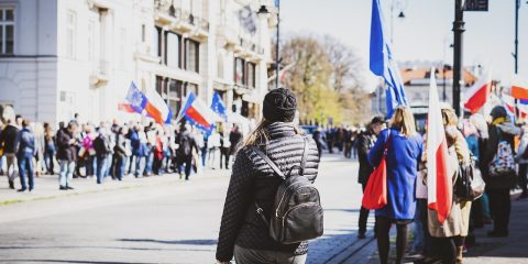 Best Courses to Study Abroad for International Students