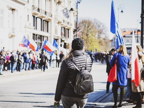 Best Courses to Study Abroad for International Students