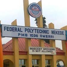 Federal Poly Neke POST UTME Form 2025/2026 is Out | Apply Now
