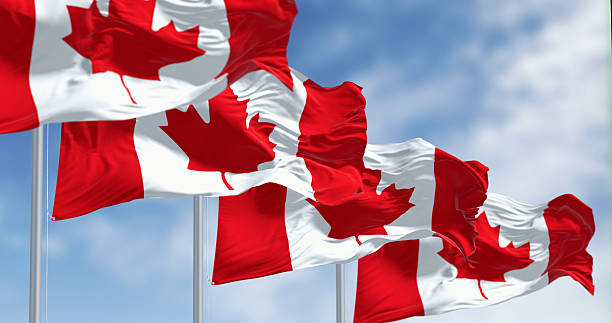 10 High-Paying Jobs in Canada Without a Degree