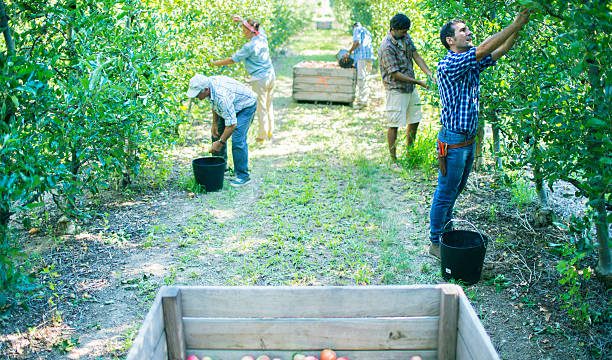 Apply Now: UK Government Is Hiring International Workers (No Fee Required)