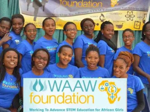 WAAW Foundation Scholarship For African Undergraduates 2025 | How To Apply